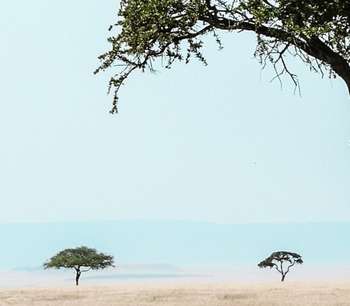 Hand in hand - Kenya