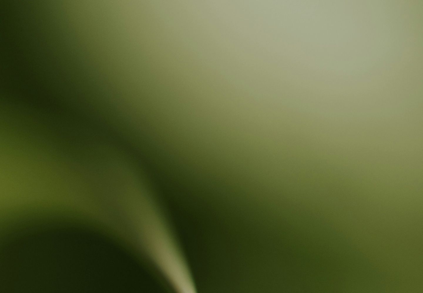 GHG-redovisning