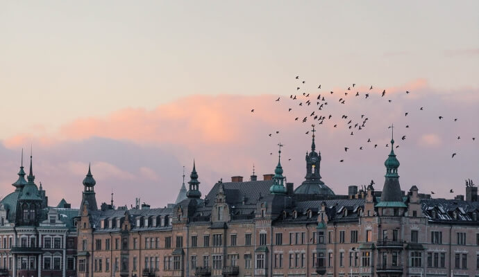 Rådgivning med stort engagemang och spetskompetens